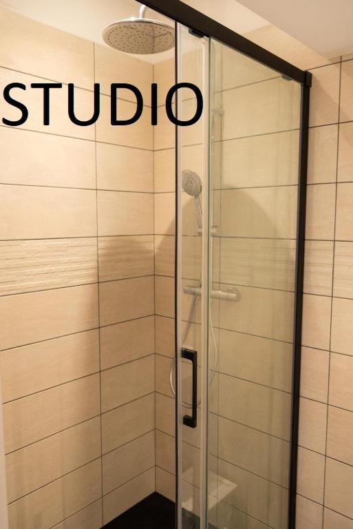 Studio Hikoki et Appartement Sky avec jardin Dinan Buitenkant foto